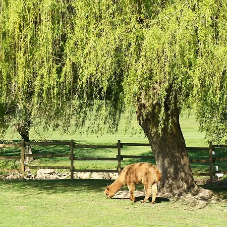 Les - Domaine De 3*